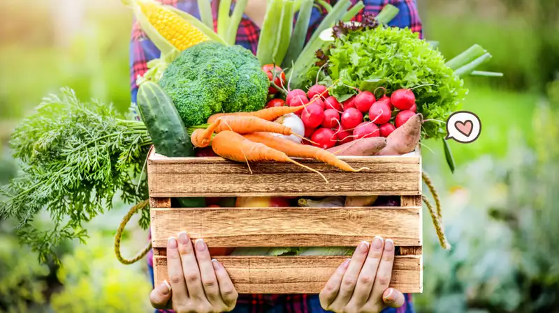 Lifestyle: Hidup Sehat Dengan Buah dan Sayur Organik